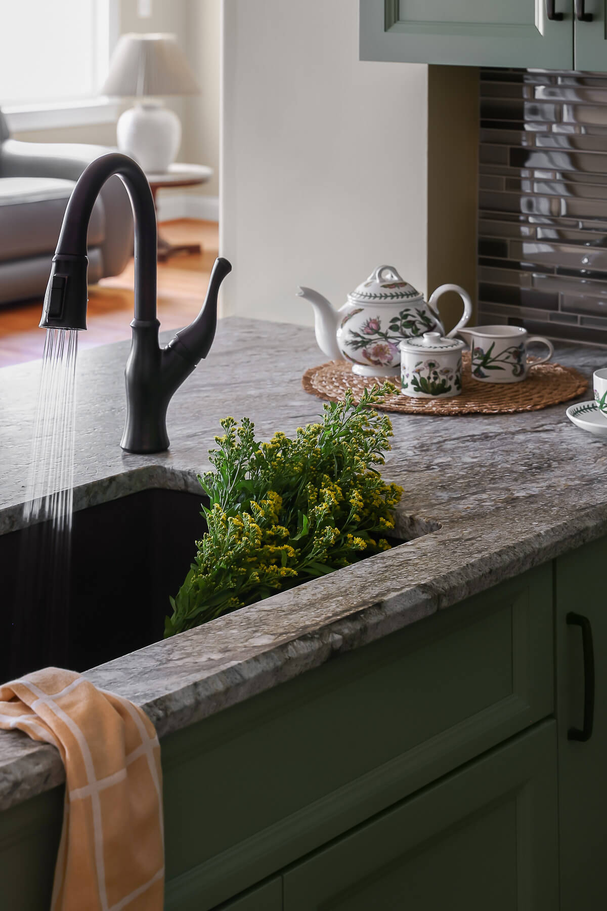 007 10614 Jimson St Internet